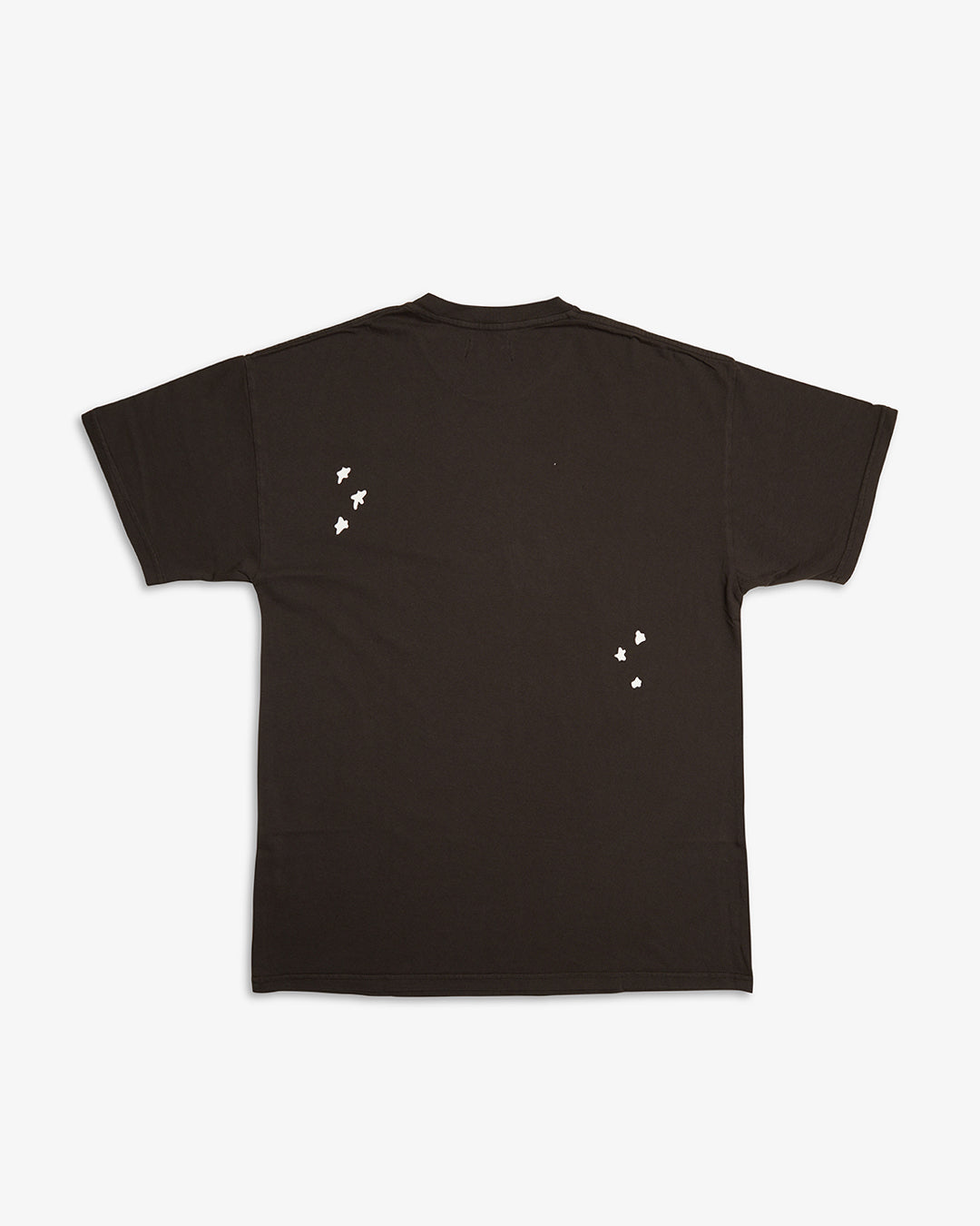 Brainwash T-Shirt - Washed Black